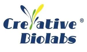 Alfa Chemistry Advances mRNA & siRNA Delivery with Tunable Cationic Lipid Systems